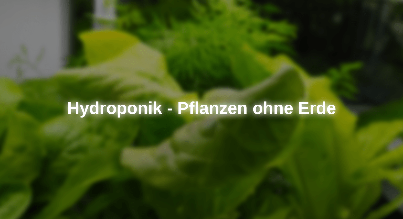 Hydroponik - Pflanzen ohne Erde - AZ-Delivery